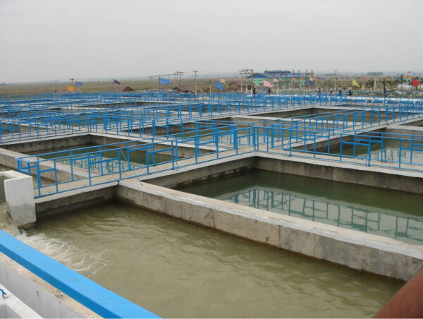 Xử lý nước thải thủy sản - Tư vấn xử lý nước thải thủy sản